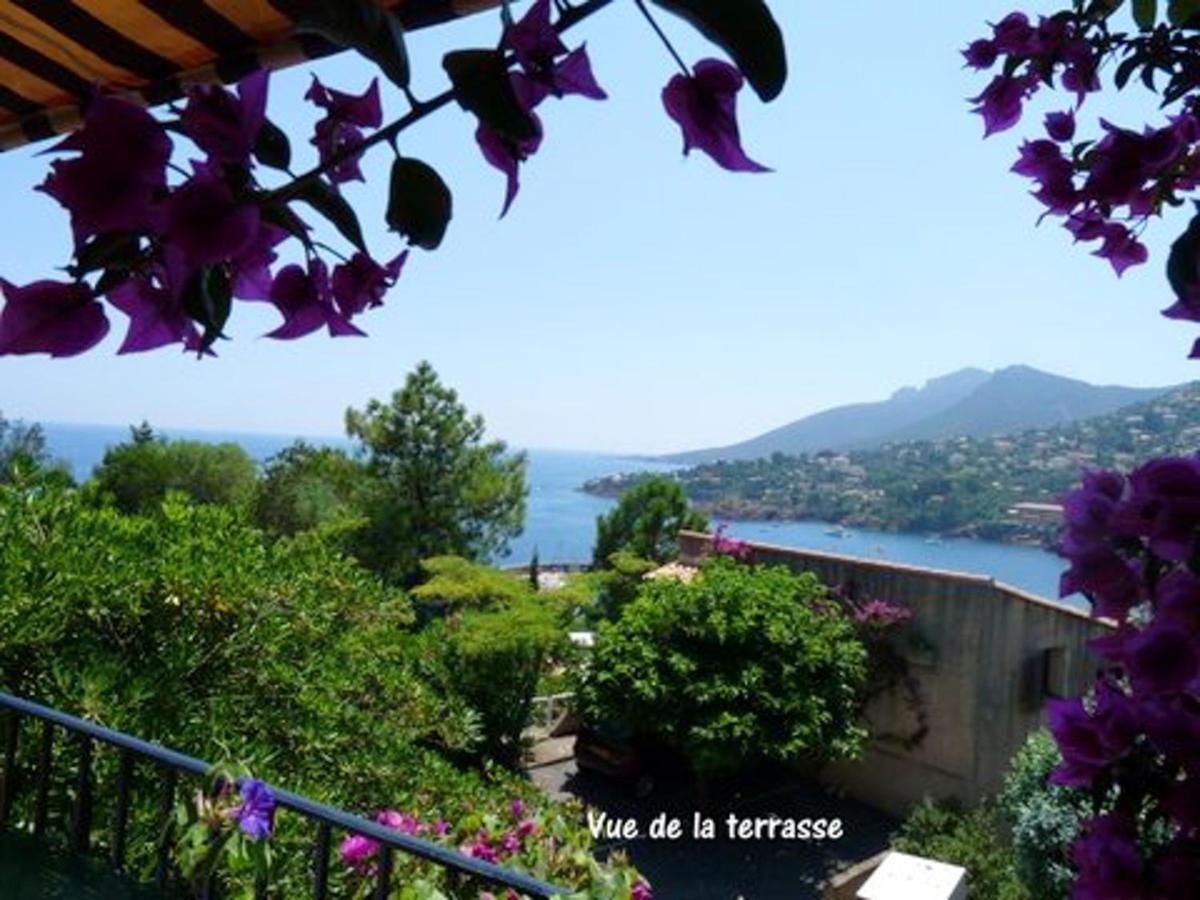 Studio A Theoule Sur Mer A 400 M De La Plage Avec Vue Sur La Mer Terrasse Amenagee Et Wifi Apartamento Exterior foto